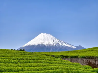 静岡県の風景 - 静岡の温暖な気候で楽しむリゾートヴィラ